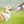 Load image into Gallery viewer, 4in1 Dog Cat Pet Water Bottle Cup Drinking Travel Outdoor Portable Feeder Filter