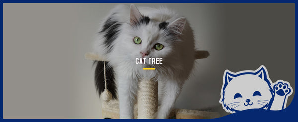 Cat Tree