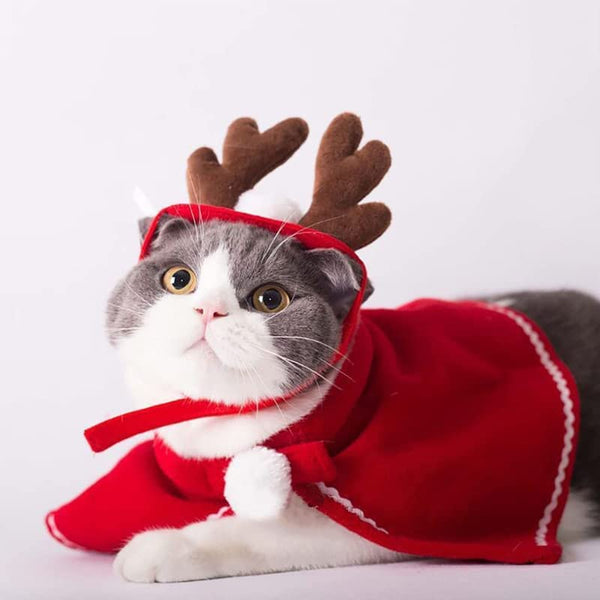 Christmas Dog Hat Pet Cap Bandana Scarf Bibs Party Costume for Doggy Cats Collar Christmas Pet Costume Accessories Kit Plaids Dog Bandana Christmas Hat Adjustable Bow Tie Collar Pet Triangle Bib Kerchief Dog Scarf for Cat Puppy Dog