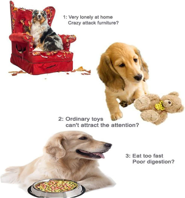 Pet Dog Puppy IQ Test Treat Ball Interactive Food Dispensing Toy Food Feeder AU