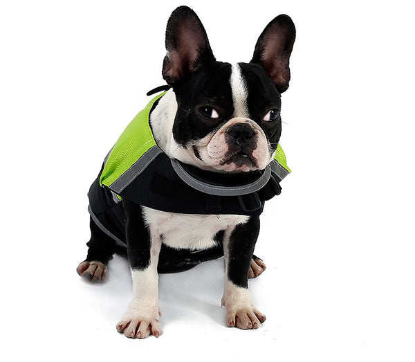 Dog Life Jacket Pet Safety Vest Swimming Boating Float Aid Buoyancy Lifesaver XL