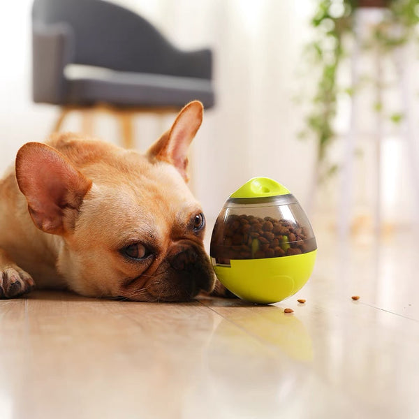 Pet Dog Puppy IQ Test Treat Ball Interactive Food Dispensing Toy Food Feeder AU