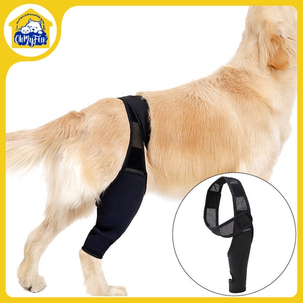 Reduces Pain Cat Injury Recover Legs Joint Wrap Pet Knee Pads Dog Support Brace