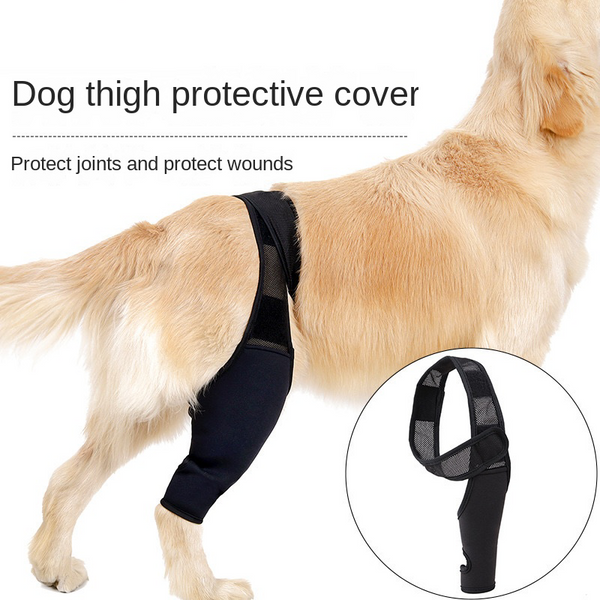 Reduces Pain Cat Injury Recover Legs Joint Wrap Pet Knee Pads Dog Support Brace