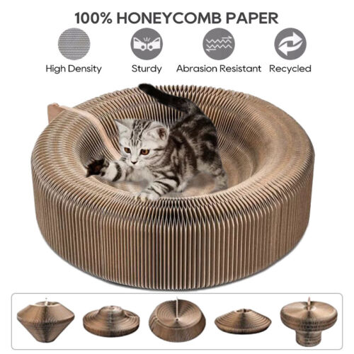 52CM Magic Organ Cat Scratching Board Bed Pad Toy Bell Ball Interactive Lounge