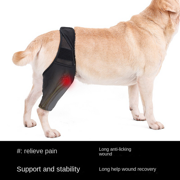Reduces Pain Cat Injury Recover Legs Joint Wrap Pet Knee Pads Dog Support Brace