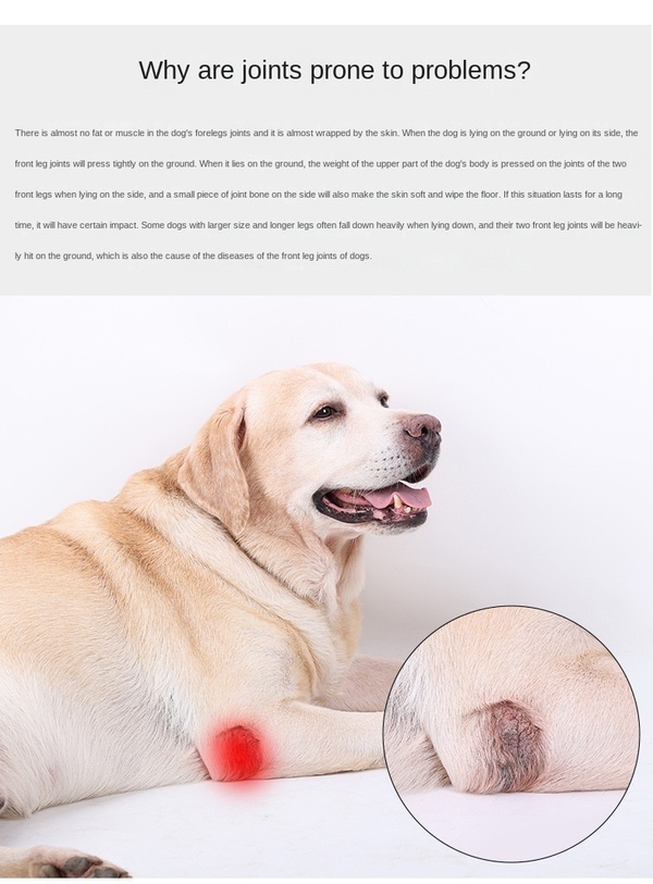 Reduces Pain Cat Injury Recover Legs Joint Wrap Pet Knee Pads Dog Support Brace