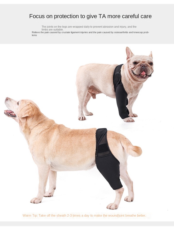 Reduces Pain Cat Injury Recover Legs Joint Wrap Pet Knee Pads Dog Support Brace