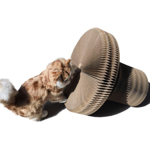 52CM Magic Organ Cat Scratching Board Bed Pad Toy Bell Ball Interactive Lounge