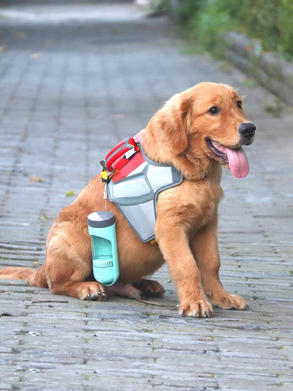 4in1 Dog Cat Pet Water Bottle Cup Drinking Travel Outdoor Portable Feeder Filter