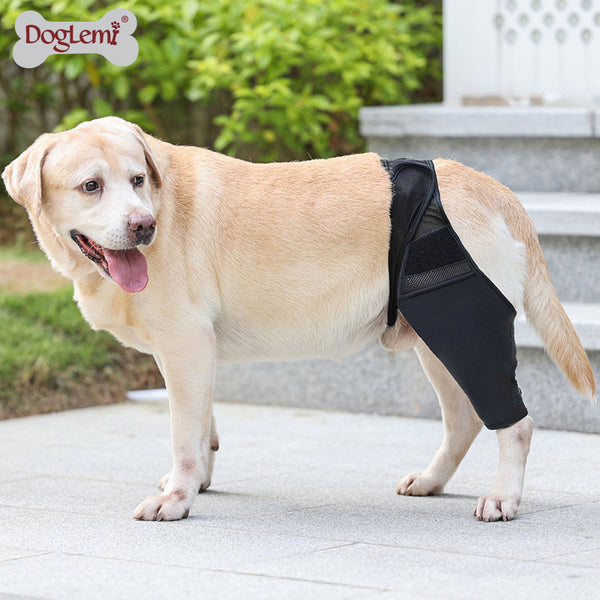 Reduces Pain Cat Injury Recover Legs Joint Wrap Pet Knee Pads Dog Support Brace