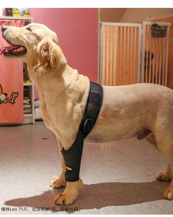 Reduces Pain Cat Injury Recover Legs Joint Wrap Pet Knee Pads Dog Support Brace