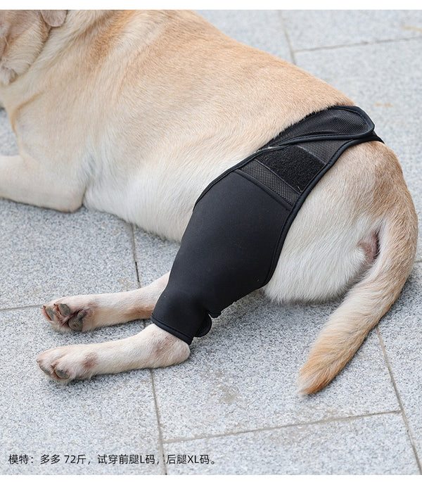 Reduces Pain Cat Injury Recover Legs Joint Wrap Pet Knee Pads Dog Support Brace