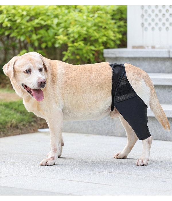 Reduces Pain Cat Injury Recover Legs Joint Wrap Pet Knee Pads Dog Support Brace